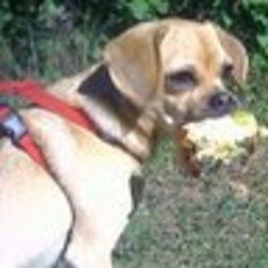 Meet your Posher, Katherine